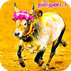 Tamilanda 아이콘