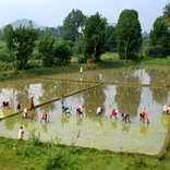 Tamil Village Romance Songs