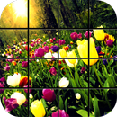 Colorful Tulips Puzzle Games APK