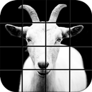 Black and White Puzzle Games APK