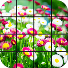 Garden Flowers Puzzle Games icône