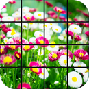 Garten-Blumen-Puzzle-Spiele APK