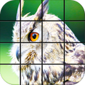 Owl Jogos de Puzzle