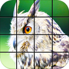 Owl Puzzle Games আইকন
