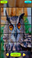 1 Schermata Owl Puzzle Games