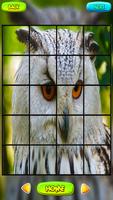 Owl Jogos de Puzzle imagem de tela 2