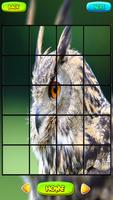 Owl Jogos de Puzzle imagem de tela 3