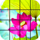 Lotus Puzzle-Spiele APK