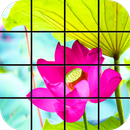 Lotus Puzzle Games APK