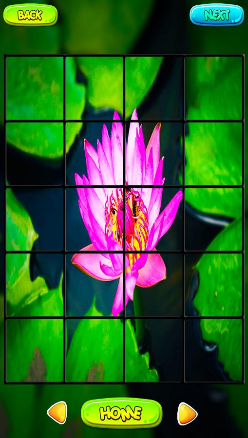 Головоломка lotus Головоломка lotus