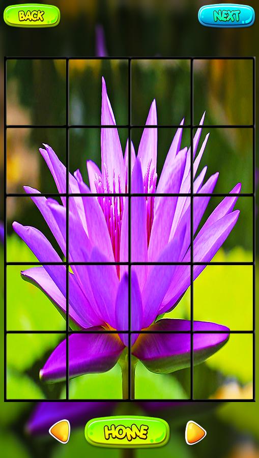 Головоломка lotus Головоломка lotus