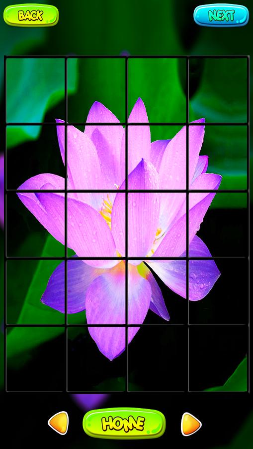 Головоломка lotus Головоломка lotus