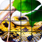 Snake Puzzle Games icône