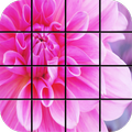 Pink Puzzle Games