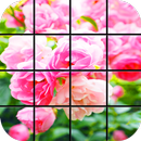 Pink Rose Puzzle Games APK