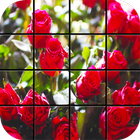 Roses Garden Puzzle Games icône