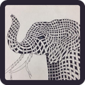 Contour Drawing Ideas