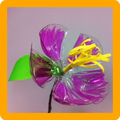 PET Bottle Crafts