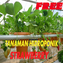 Tanaman hidroponik strawberry Lengkap APK