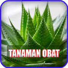 1001 Tanaman Obat Herbal Alami আইকন