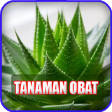 1001 Tanaman Obat Herbal Alami biểu tượng