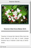 1001 Tanaman Obat Herbal Alami imagem de tela 1