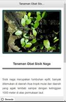 برنامه‌نما 1001 Tanaman Obat Herbal Alami عکس از صفحه