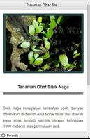 1001 Tanaman Obat Herbal Alami screenshot 2