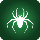 SPIDER SOLITAIRE biểu tượng