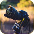 Камеры 4K живые обои