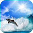Chien Chat Dolphin Wallpaper APK