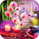 СПА uhd живые обои