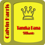 ”Heatstroke Calvin Harris Lyric