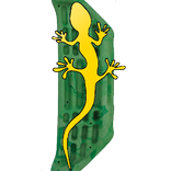 Metolius Contact Training PRO