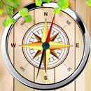 Practical Accurate Compass APK