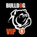 Bulldog VIP APK