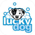 Lucky Dog Rewards 아이콘