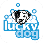 Lucky Dog Rewards 图标