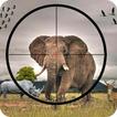 Animal Hunting Wild Adventure : Hunting games