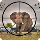 Animal Hunting Wild Adventure : Hunting games APK