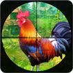 चिकन खेत में चिकन शूटर: चिकन श