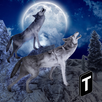 Angry Wolf Simulator 3D APK