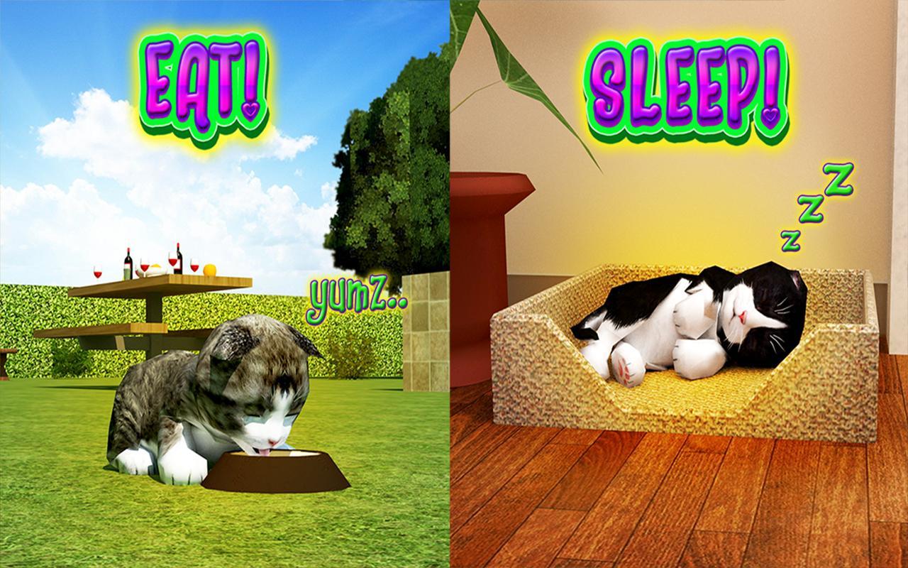 Игры животные кошки. Игра симулятор кошки 3d. Cat Frenzy 3d. Кошка играет. Фото симулятор кота и кошки.