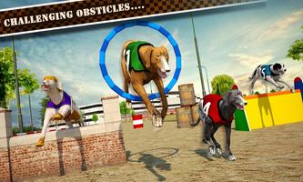 Dog Race & Stunts 2016 スクリーンショット 1