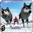 Sled Dog Racing 2017