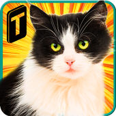 Street Cat Sim 2016 MOD