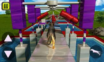 Stunt Dog Simulator 3D Screenshot 3