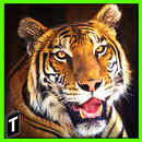 Super Tiger Sim 2017 APK