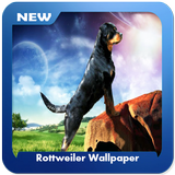 Rottweiler Wallpaper icon