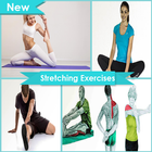 Stretching Exercises icon